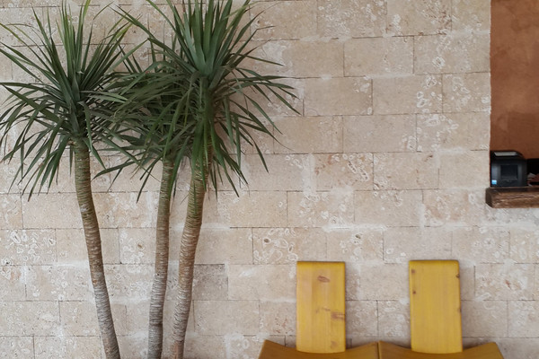 mambo italia lavington 2.jpg