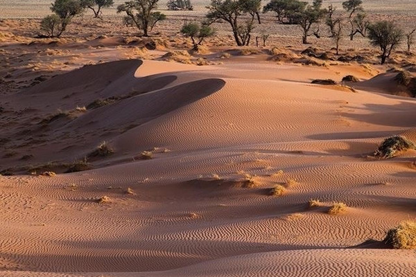 namibrand_nature_reserve-idYjG.jpg