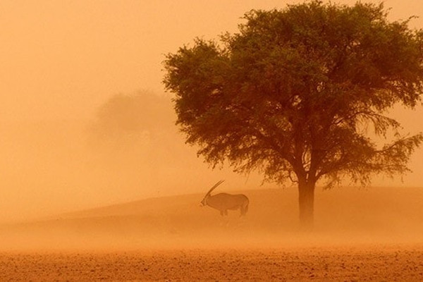 namibrand_nature_reserve-sfBJ7.jpg