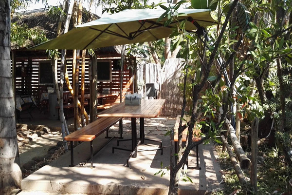 roots of africa 1740433928.jpg