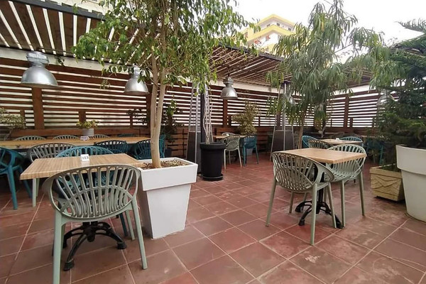 sweet g 1740433999.jpg