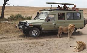 tanzania budget mobile camping safari 1e7o4vSwZL.jpeg