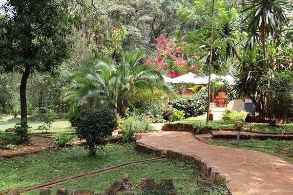 the purdy arms 2.jpg