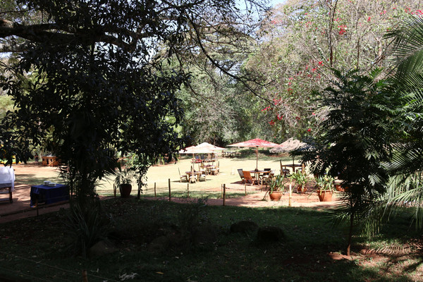 the purdy arms 4.jpg