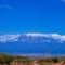 3 days amboseli budget safari