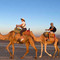 Agafay desert camel ride with dinner and live music.