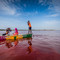  Lac Rose – Saint-Louis – Parc de Djoudj – Langue de Barbarie