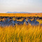 4 days masai mara & lake nakuru