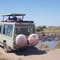 2 days mikumi safari package from zanzibar