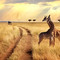 Tanzania safari-5 day
