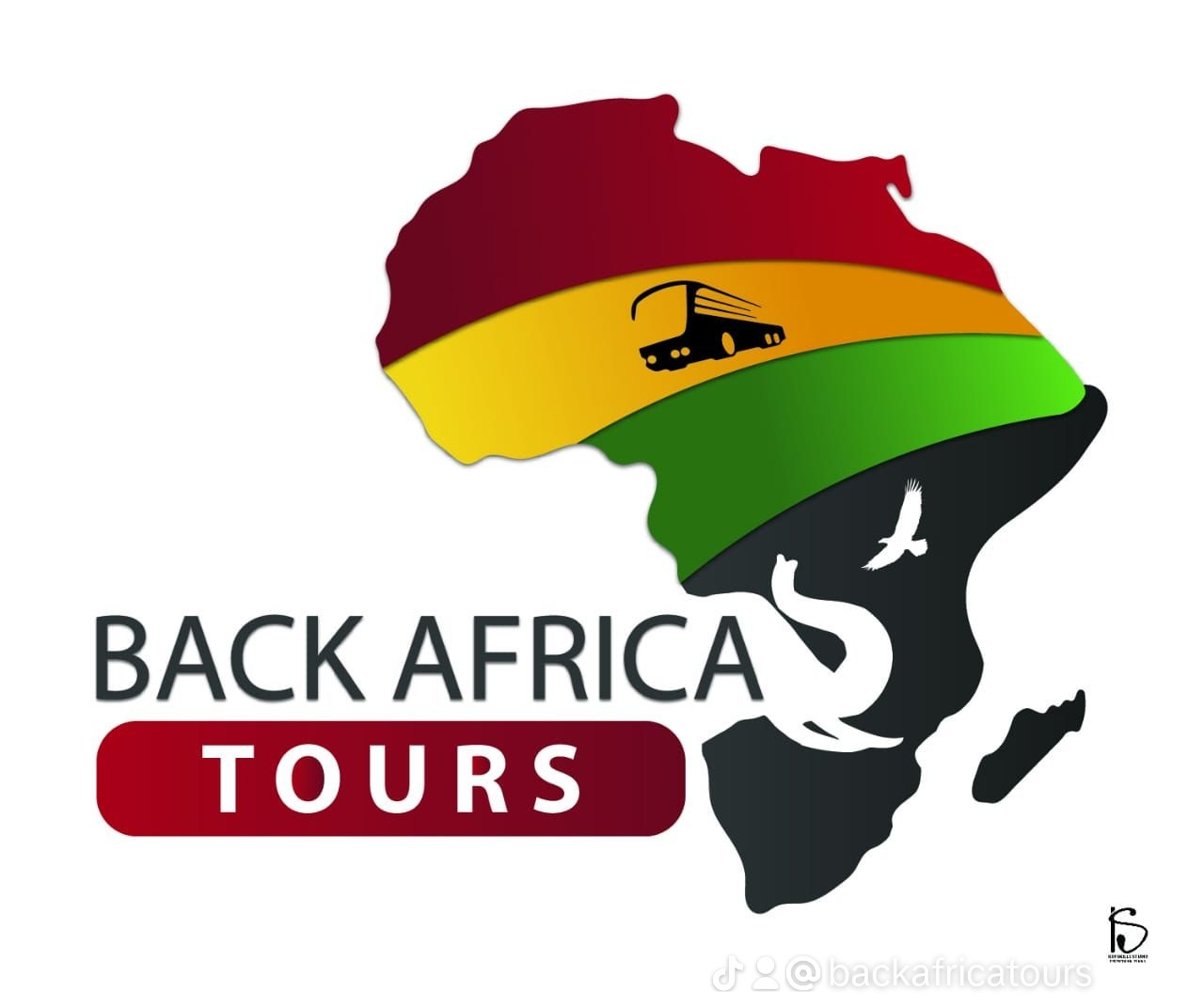 Back Africa Group