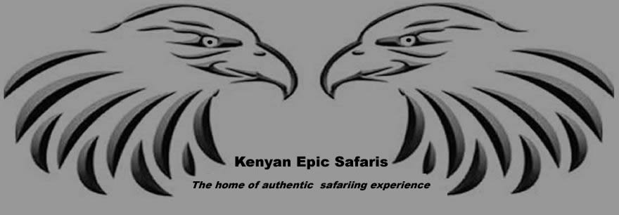 Kenyan Epic Safaris