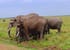 3 days masai mara
