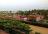 Hôtel Diaspora Bénin (Jardin Brésilien)