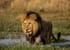 3 day queen elizabeth national park wildlife safari uganda