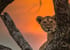 4 days high-end tanzania safari