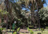 Beyrouth Parc