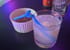Calypso Night Club