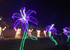 Durban Botanic Gardens