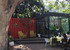 Freedom Cafe