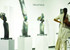 Galerie Amani