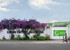 Goethe institut 
