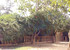 Hotel 3A Lodge