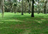 Jardin botanique de bingerville