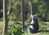 Jardin Zoologique de Rabat