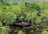 Le n’zi river lodge