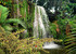 Les Cascades Du Mfoundi