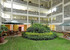 Lms Guest House