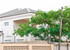Madume Guest House