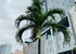 Noom Hôtel Abidjan Plateau