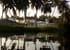 Palm Lodge