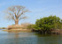 Parc national du delta du Saloum