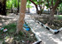Parque Zé Dú