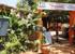 Restaurant La Pirogue