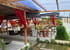 Restaurant Royal Garden