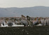 Guided small group kenya adventure wildlife safaris.