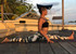 Yoga Time