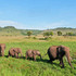 East africa safari bookers Nairobi