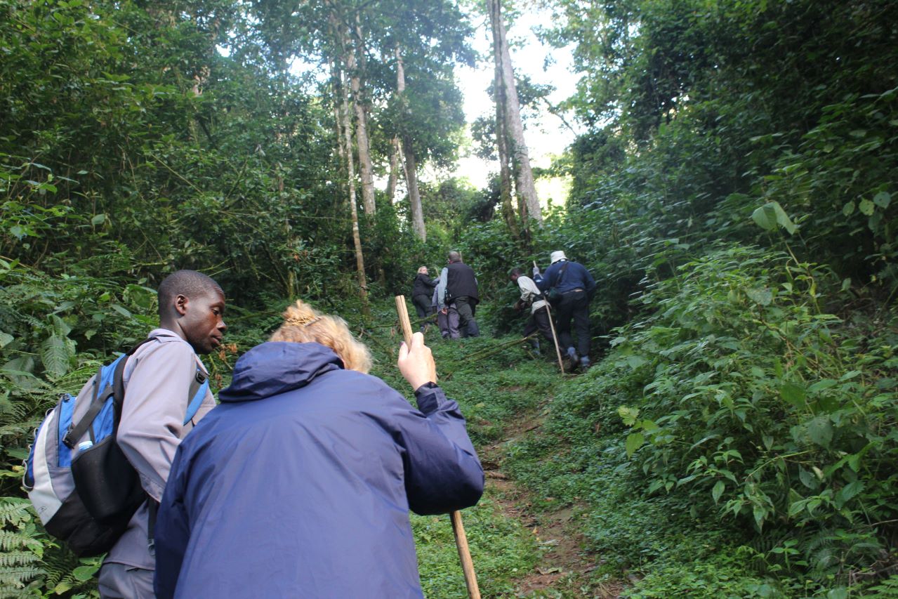 16 days wildlife uganda Y0aXnBLsPp.jpg