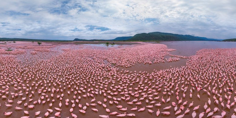 4 day masai mara lake nakuru exploration 2CAlolVqnB.jpg