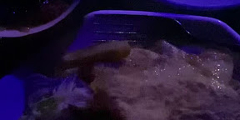 chez antoinette 1.jpg