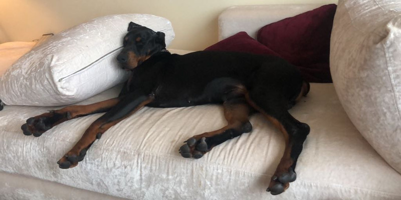 latelier oriental 4.jpg