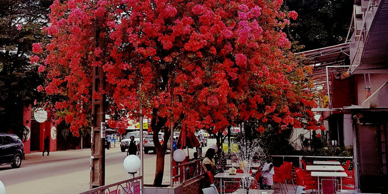 le petit cafe abidjan 3.jpg