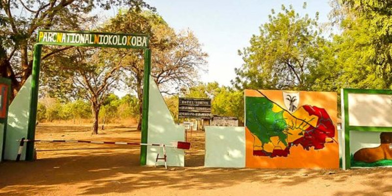 parc-national-du-niokolo-koba.jpg