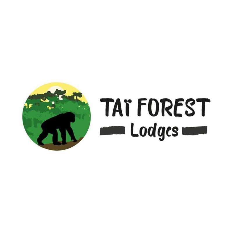 tai-forest-lodges.jpg