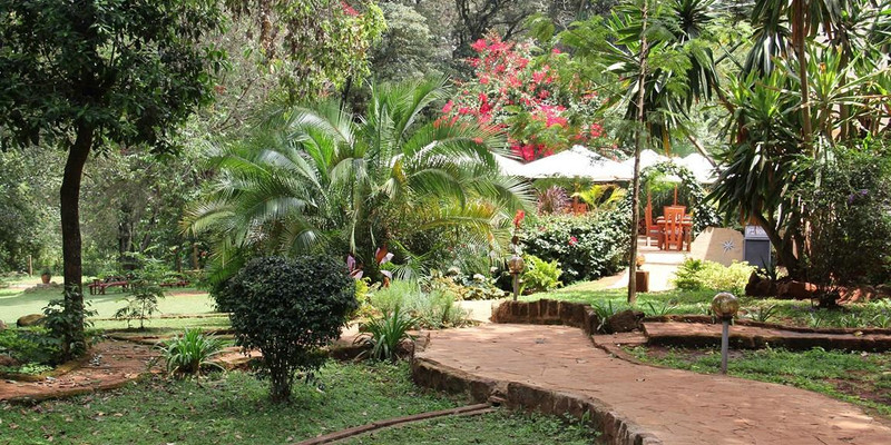 the purdy arms 2.jpg